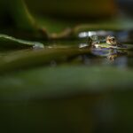 featured-40