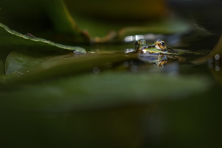 featured-40