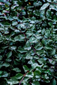 featured-31