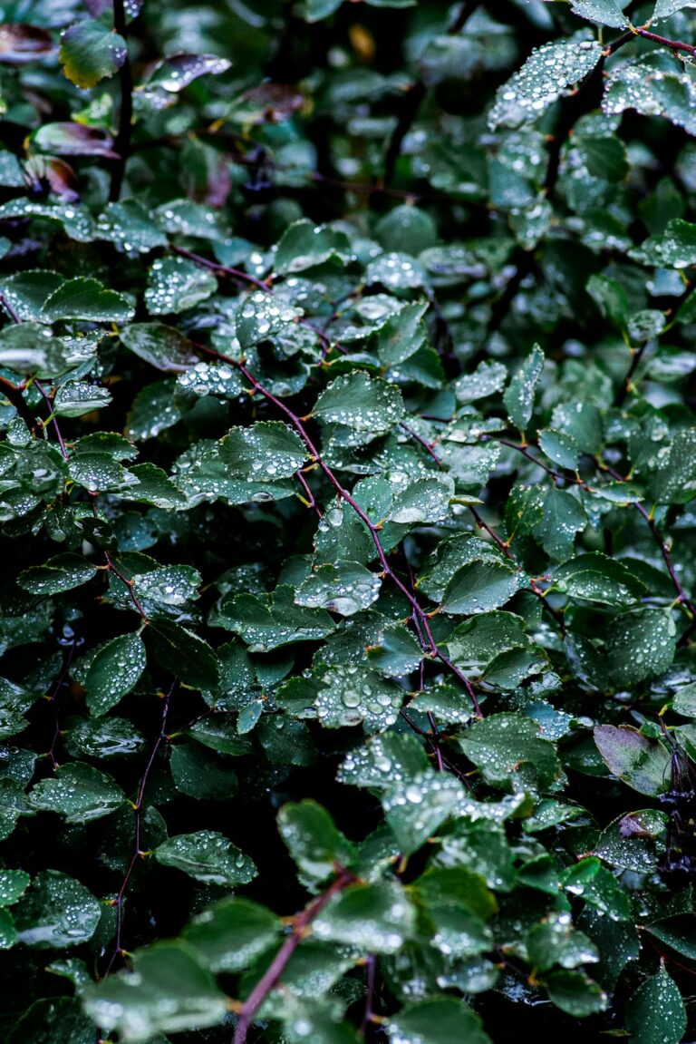 featured-31