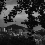 featured-29